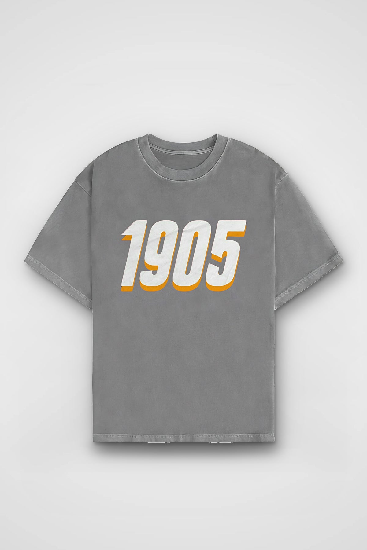 Galatasaray Aslan Washed T-Shirt in Washed Grey – Produktbild Frontprint