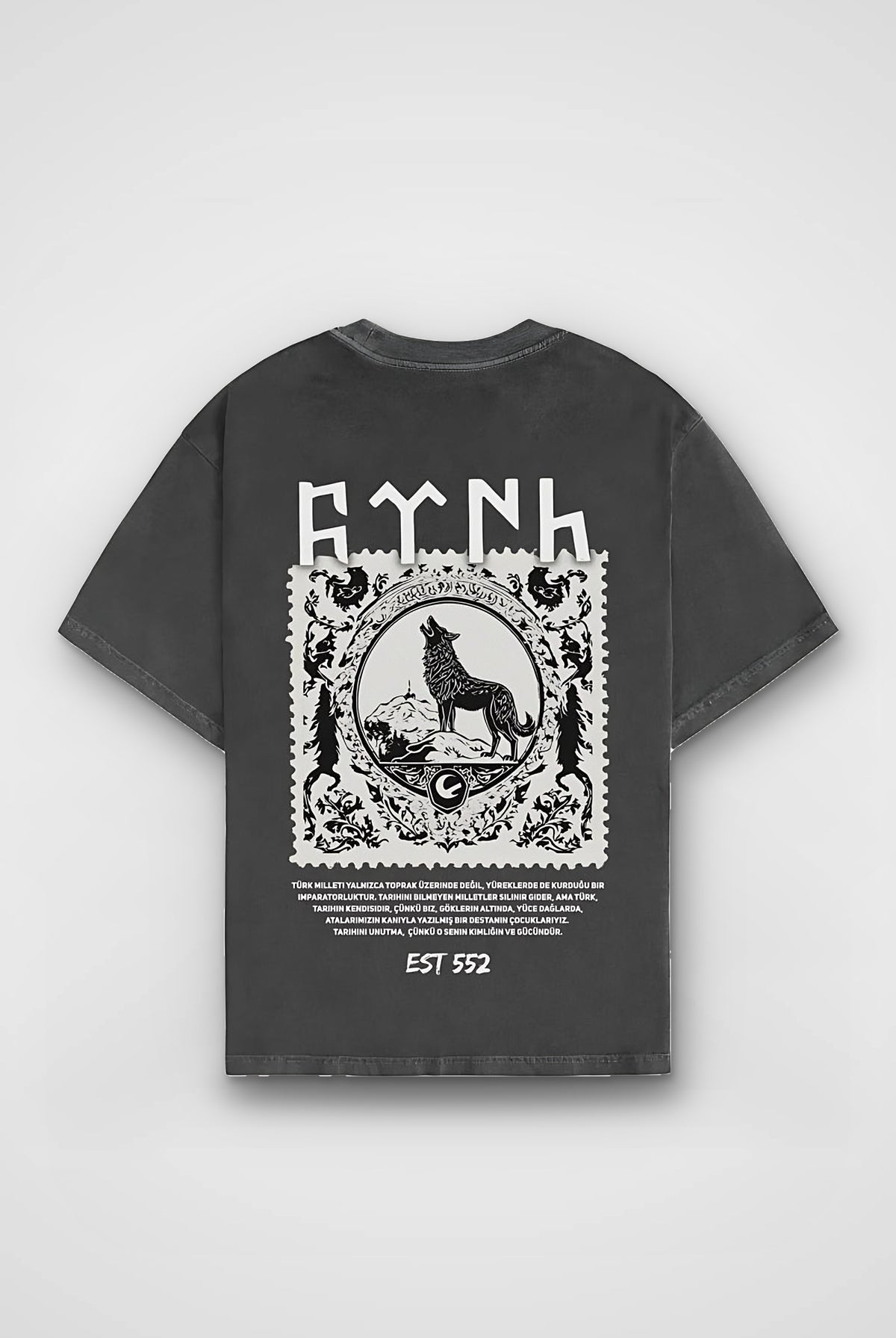 Göktürk Kut Washed T-Shirt in Washed Black – Produktbild Rückenprint