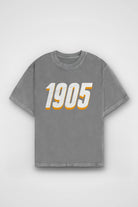 Galatasaray Aslan Washed T-Shirt in Washed Grey – Produktbild Frontprint