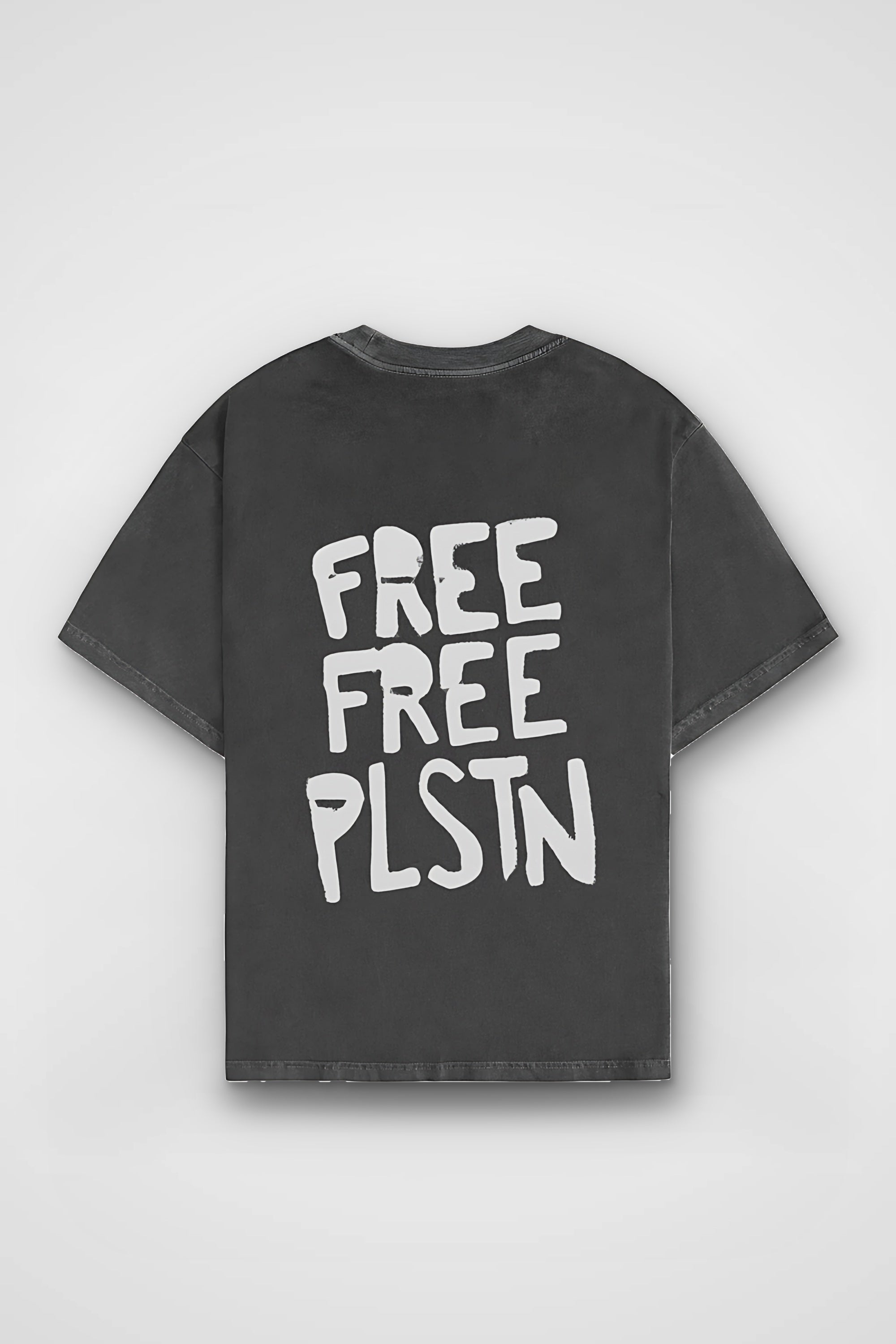 Palestine Washed T-Shirt in Washed Black – Produktbild Rückenprint